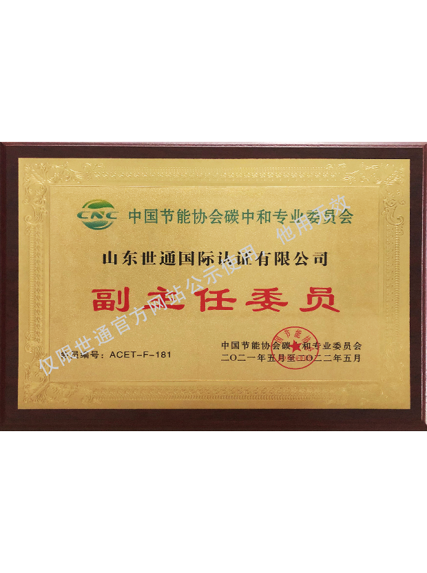 中国节能协会碳中和专业委员会副主任委员